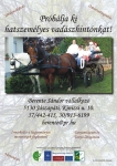 bl_Berente_Sandor___hintoval_a_jaszsagban.jpg